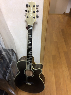 takamine01.png